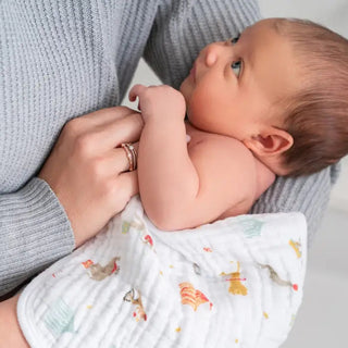 Aden & Anais Elephant Circus 3 Pk Washcloths