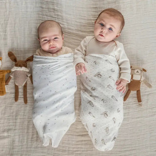Aden & Anais - Silky Soft 2 Pk Swaddle Blanket - Healing Nature