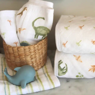 Aden & Anais 3 pk Muslin Washcloth Dino