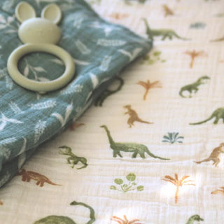 Aden & Anais Dino Jungle essentials cotton muslin swaddle 2 pack