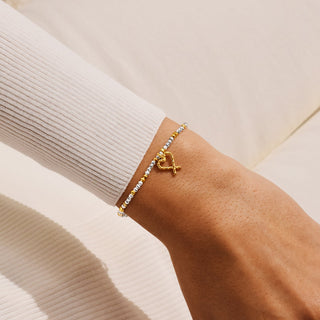 CHRISTMAS LITTLE STORIES | NAUGHTY AND NICE | Silver & Gold Plated | Bracelet | 17.5cm stretch