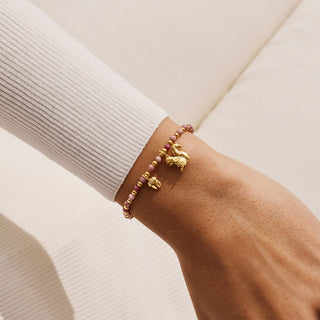 AUTUMN'S CALLING A LITTLE | SMALL BUT MIGHTY | Gold Plated | Bracelet | 17.5cm stretch
