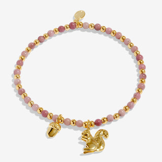 AUTUMN'S CALLING A LITTLE | SMALL BUT MIGHTY | Gold Plated | Bracelet | 17.5cm stretch