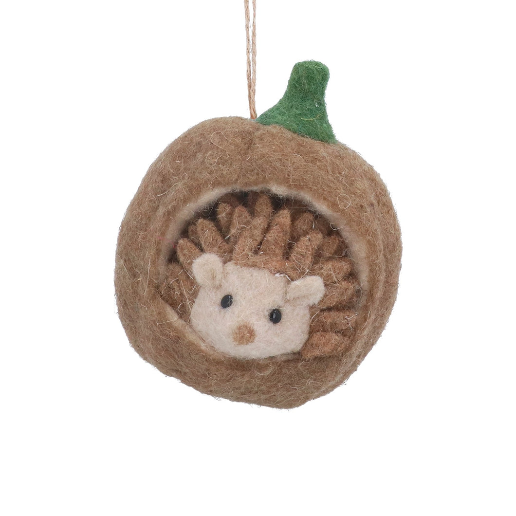 Wool Dec 12cm - Hedgehog in Nutshell