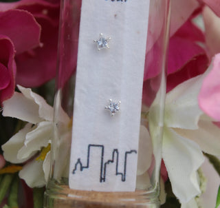 You're A Star Earring Jars