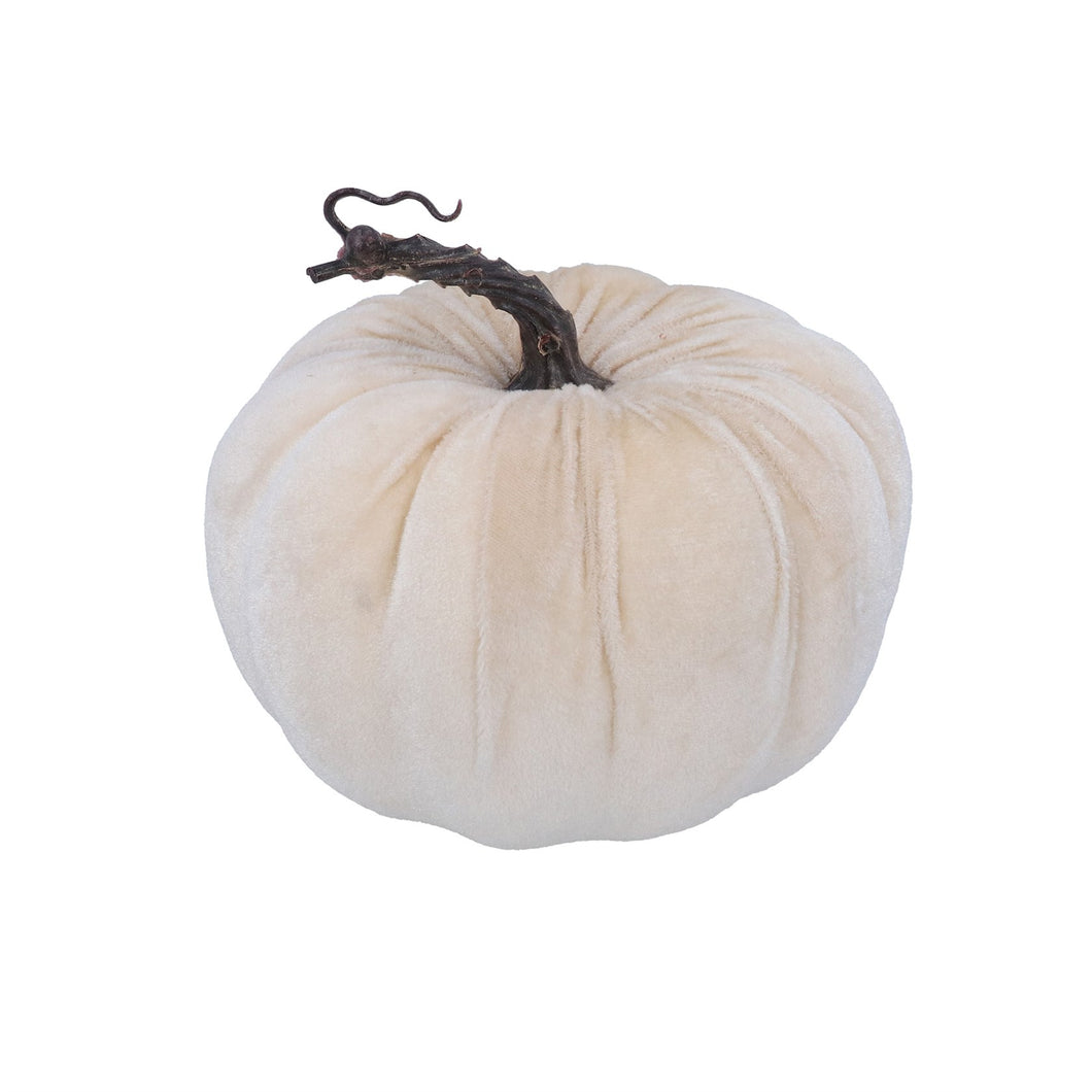 Velvet - White Pumpkin