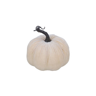White Pumpkin