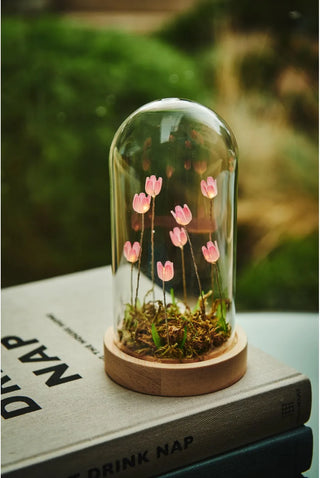 Flora Wonderland 17.5 cm