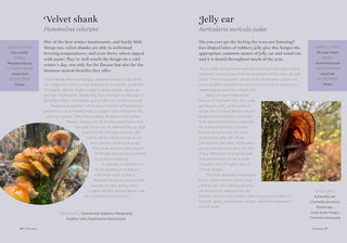 FORAGERS ALMANAC (HB)