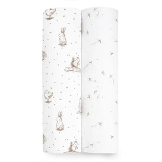 Aden & Anais - Silky Soft 2 Pk Swaddle Blanket - Healing Nature