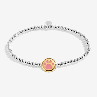 A LITTLE | PAWSITIVE VIBES | Silver & Gold Plated | Bracelet | 17.5cm stretch