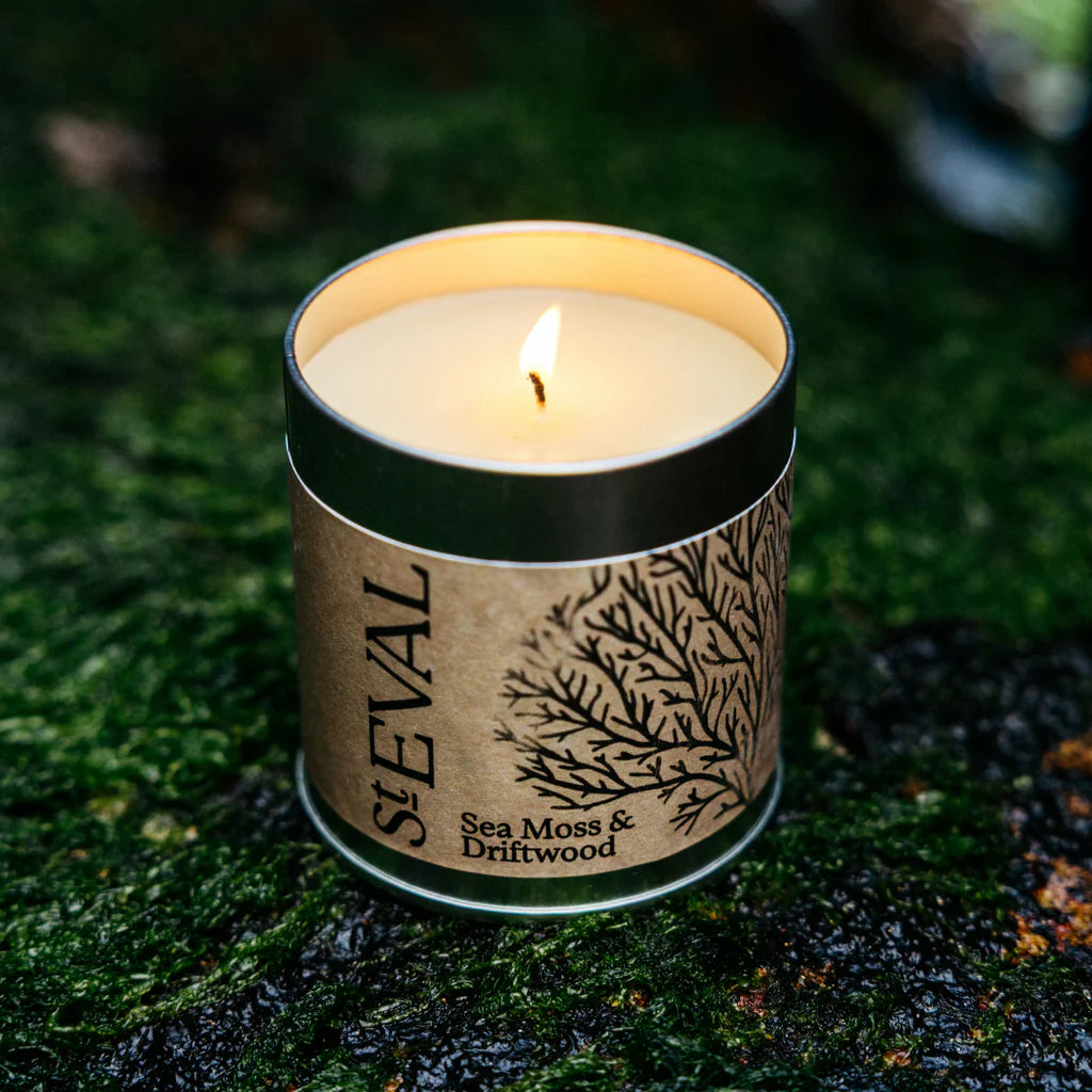 St Eval Sea Moss & Driftwood, Scented Tin Candle