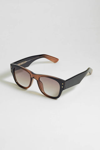 Estella Bartlett Sunglasses Manila Black/Brown Transparent