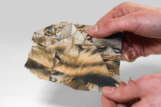 Fold Your Own Paper Cats