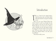 Load image into Gallery viewer, WHAT WOULD A WICKED WITCH DO (HB)
