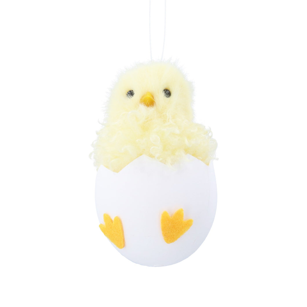 Fluffy Chick In Egg