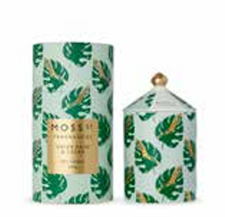 Moss St. Ceramic Candle 320g - Green Sage & Cedar