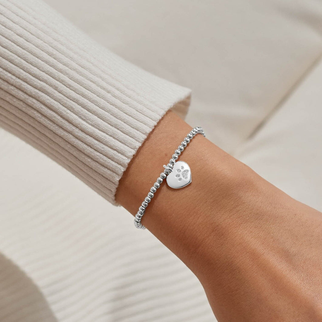 JOMA A LITTLE | PETS LEAVE PAWPRINTS ON OUR HEARTS | BRACELET