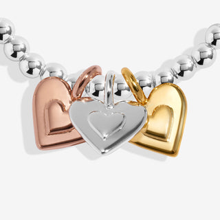 A LITTLE CHARMED MOMENTS | MOTHER AND DAUGHTER | Silver, Gold & Rose Gold Plated | Bracelet | 17.5cm stretch