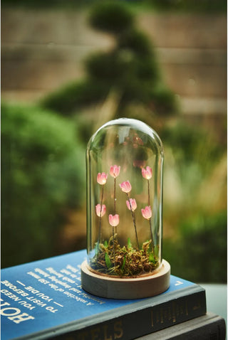 Flora Wonderland 17.5 cm