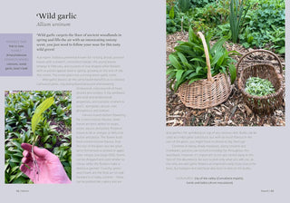 FORAGERS ALMANAC (HB)