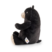 Load image into Gallery viewer, Plush Small Bear Teddy 20cm
