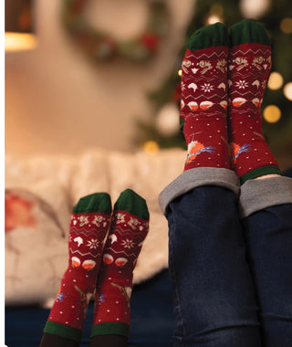Wrendale Robin Christmas Socks