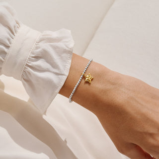 A LITTLE | SOME CALL IT CHAOS WE CALL IT FAMILY | Silver & Gold Plated | Bracelet | 17.5cm stretch