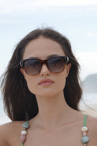 Estella Bartlett Sunglasses Manila Black/Brown Transparent