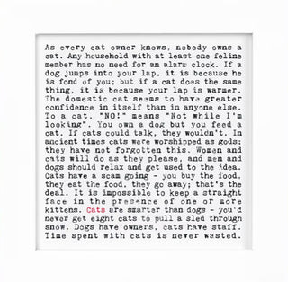 Cats - Framed Print Wise Words