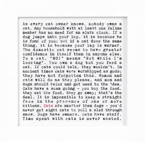 Cats - Framed Print Wise Words