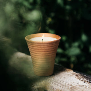 St Eval Bergamot & Nettle Potager Pot  Candle