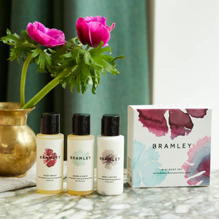 Bramley Mini Body Set