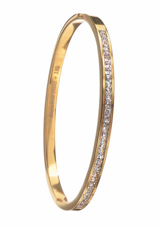Hinged Bangle - Crys / Stainless Steel W/18k Gold PVD