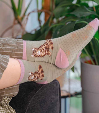 Wrendale Cat Sock Feline Fabulous