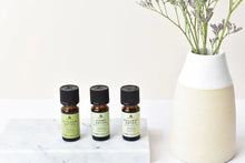 Load image into Gallery viewer, Aroma Home Home Detox Essential Oil Blends
