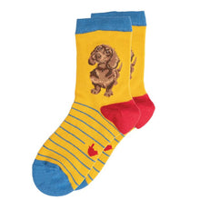 Load image into Gallery viewer, Wrendale Children’s Dachshund Socks Size 6-8.5 Age 2-4 yrs
