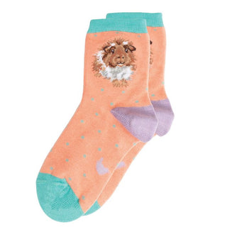 Wrendale Children’s Grinny Pig Socks Size 9-12 Age 4-7 Yrs
