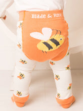 Load image into Gallery viewer, Blade &amp; Rose Honey Bee Leggings With Socks Set
