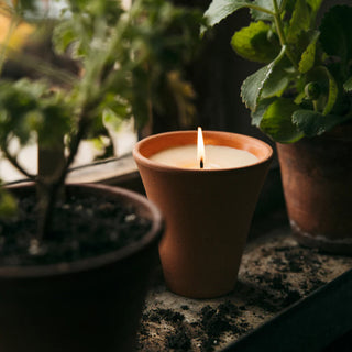 St Eval Large Bergamot & Nettle Candle