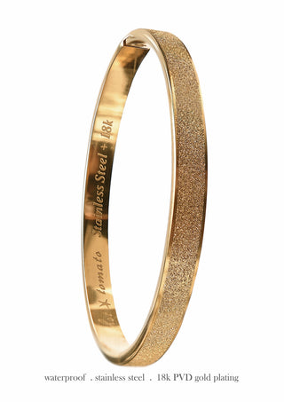 Frosted Hinged Bangle - Stainless Steel with 18k Gold