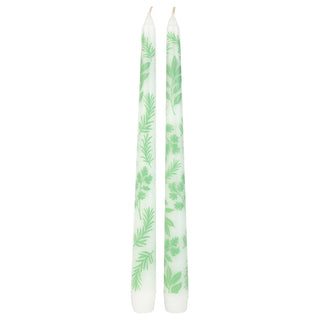 Pk 2 Taper Candles Herbe
