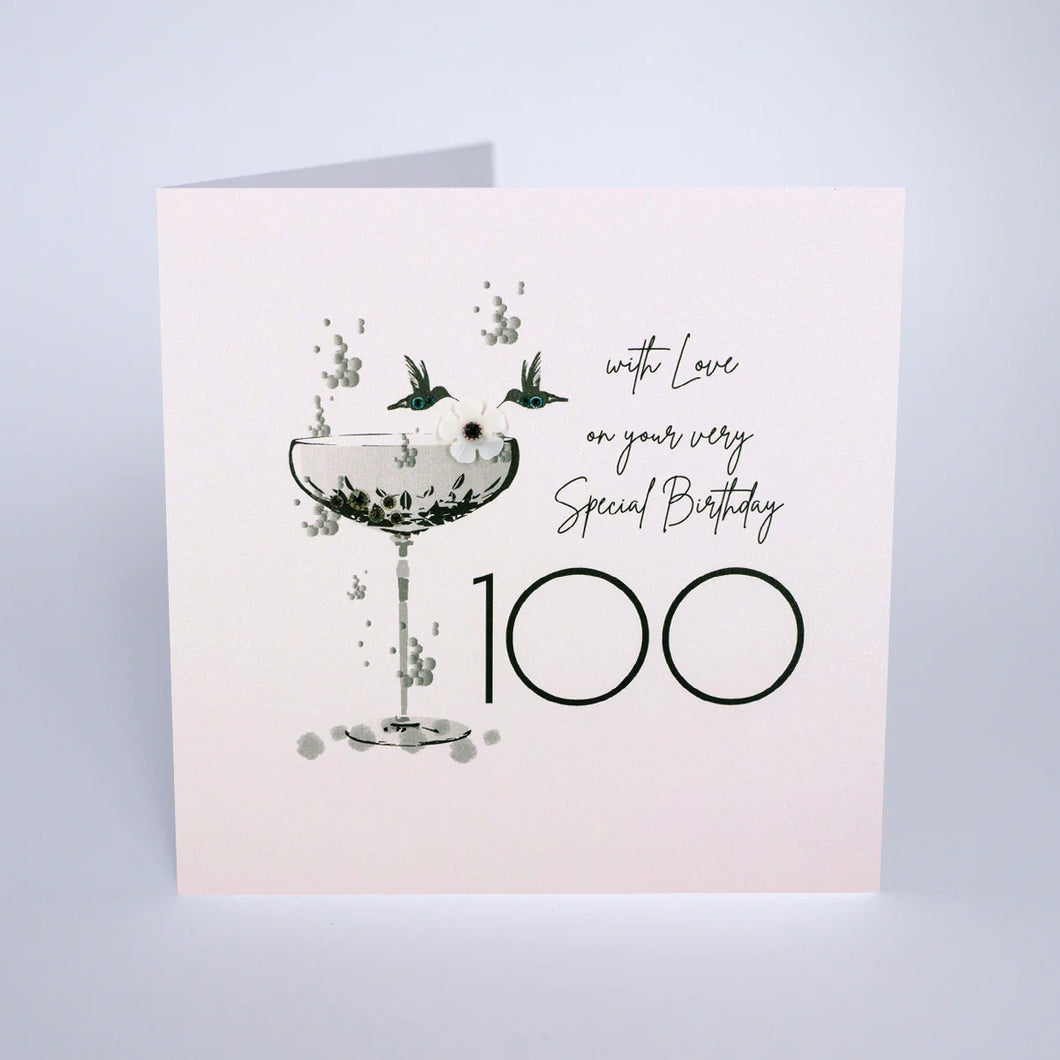 Special Birthday 100