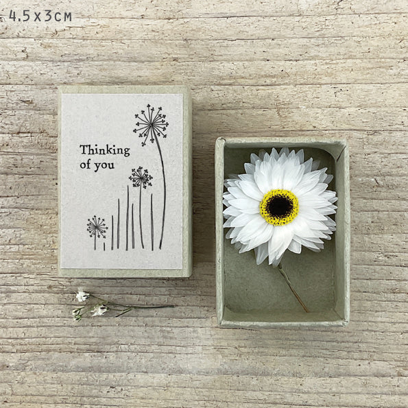 Matchbox Dried Flower - Thinking Of You