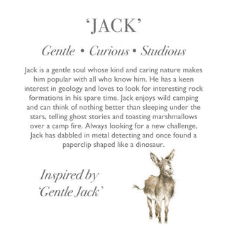 Wrendale Jack the Donkey