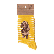 Load image into Gallery viewer, Dog Sock- Dachshund

