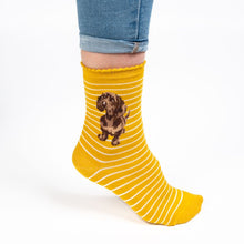 Load image into Gallery viewer, Dog Sock- Dachshund
