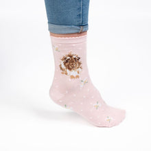 Load image into Gallery viewer, Wrendale Guinea Pig Sock - Grinny Pig - PINK
