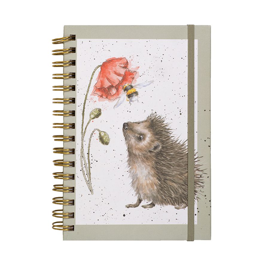 A5 Hedgehog Notebook
