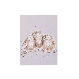 A6 Owl notebook